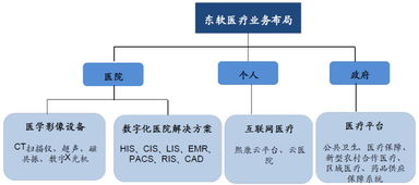 东软集团 深耕医疗信息化，构建“三驾马车”驱动的数字未来