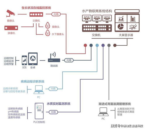 智慧农业新引擎 物联网解决方案与网络系统集成的融合实践