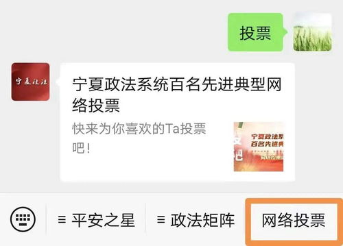 宁夏政法系统百名先进典型网络投票活动正式启动，诚邀公众踊跃参与